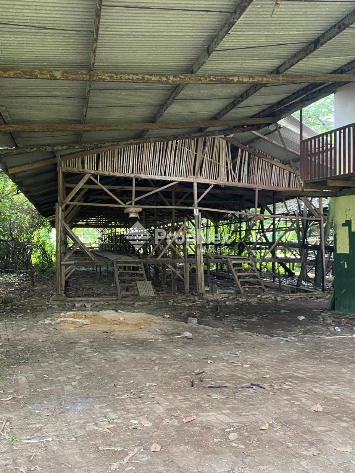 Pertenakan Dayurejo Prigen, Pasuruan bisa Nego — foto 3